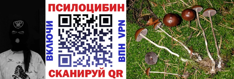 как найти наркотики Покров Галлюциногенные грибы GOLDEN TEACHER